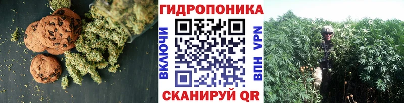 купить  цена  Соль-Илецк  Cannafood марихуана 