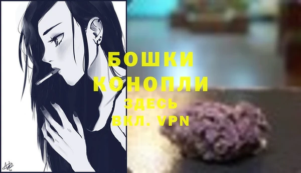 прущие грибы Белоозёрский