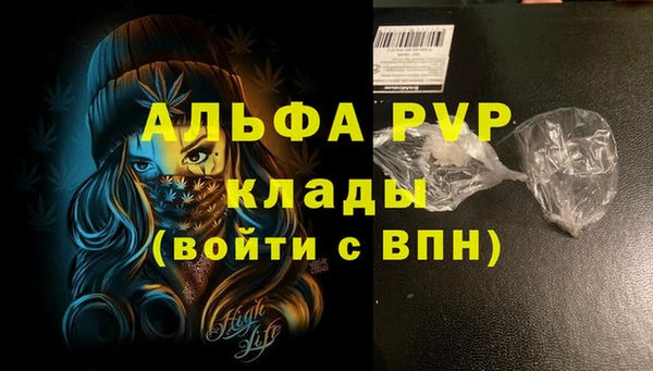 тгк Белокуриха