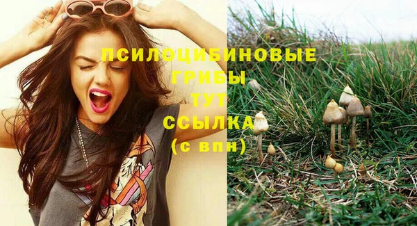 прущие грибы Белоозёрский