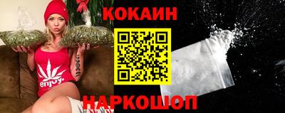 индика Сланцы