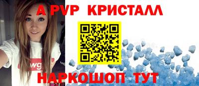 индика Сланцы