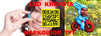 индика Сланцы