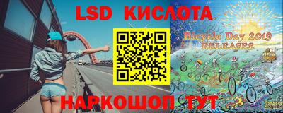 индика Сланцы