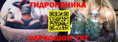 индика Сланцы
