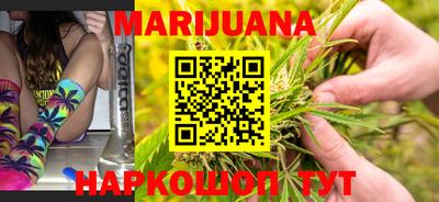 индика Сланцы