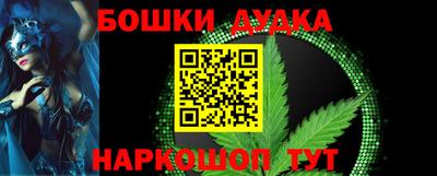 индика Сланцы