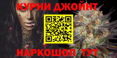 индика Сланцы