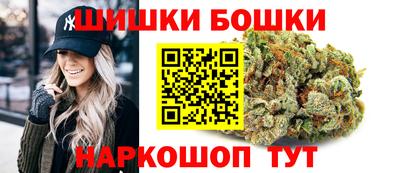 индика Сланцы
