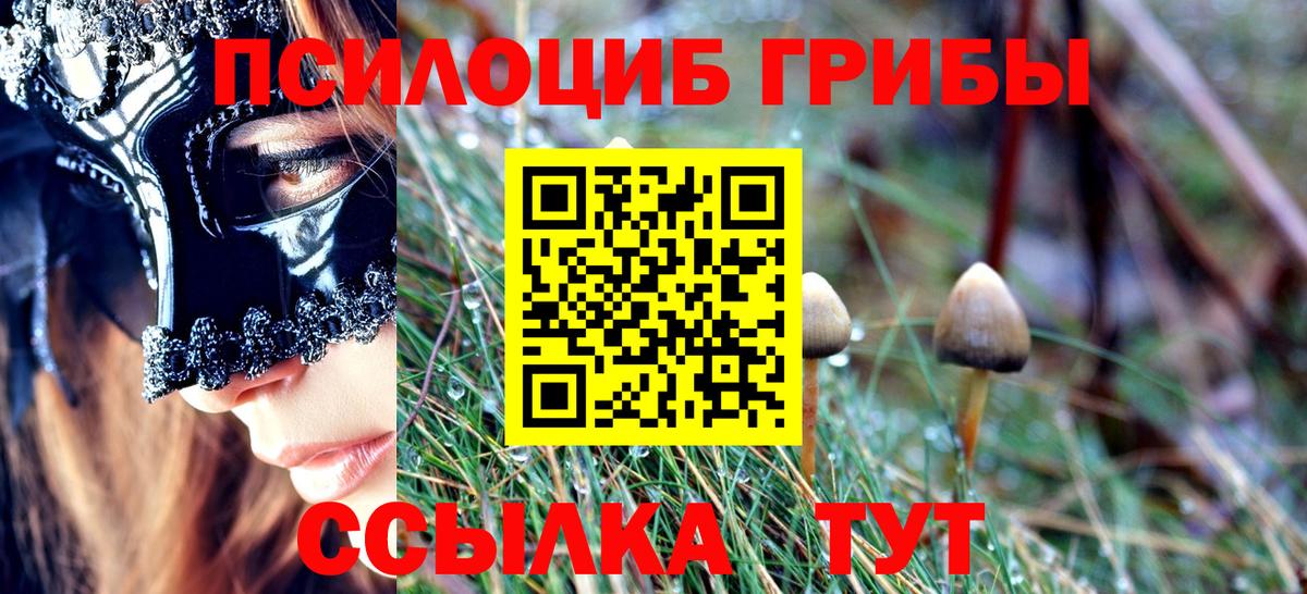 Галлюциногенные грибы Psilocybine cubensis  Вход с VPN  Соль-Илецк  Галлюциногенные грибы Magic Shrooms 